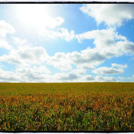 Spacious Home With Games Holiday home Ellezelles